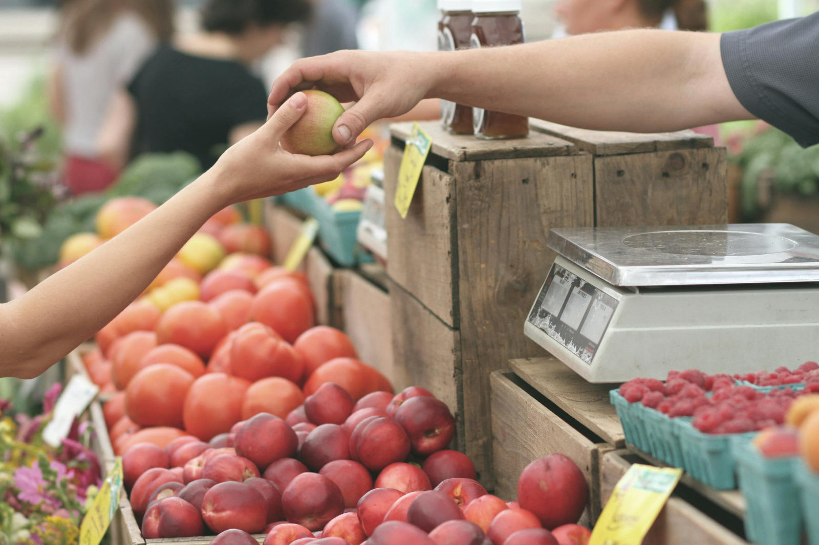 Fix loneliness by connecting with people in everyday places like the grocery store